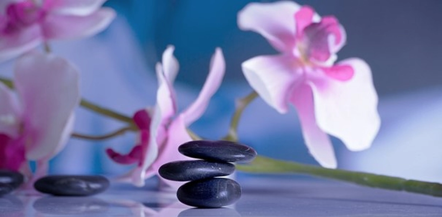 enHealing - Energetischen Praxis, persönlichen Entwicklung und Vitalstoffberatung - Im Vordergrund liegt ein Stapel aus drei glatten, dunklen Basalt-Massagesteinen, im Hintergrund sind rosa und weiße Orchideenblüten sanft verschwommen zu erkennen.