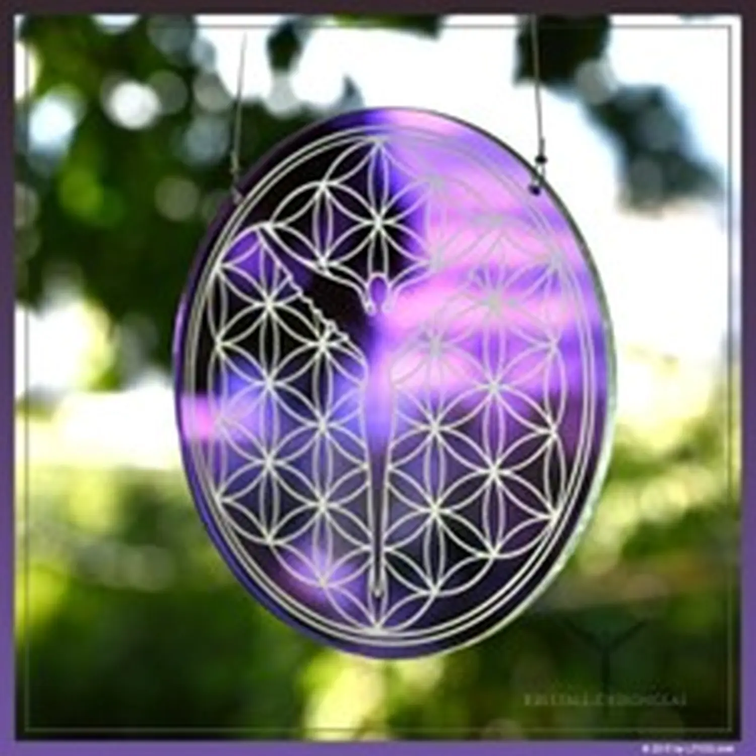 enHealing - Energetischen Praxis, persönlichen Entwicklung und Vitalstoffberatung - Energetisierte Produkte