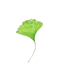 enHealing - Energetischen Praxis, persönlichen Entwicklung und Vitalstoffberatung - Symbol