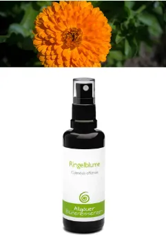 enHealing - Energetischen Praxis, persönlichen Entwicklung und Vitalstoffberatung - Energetisierte Produkte