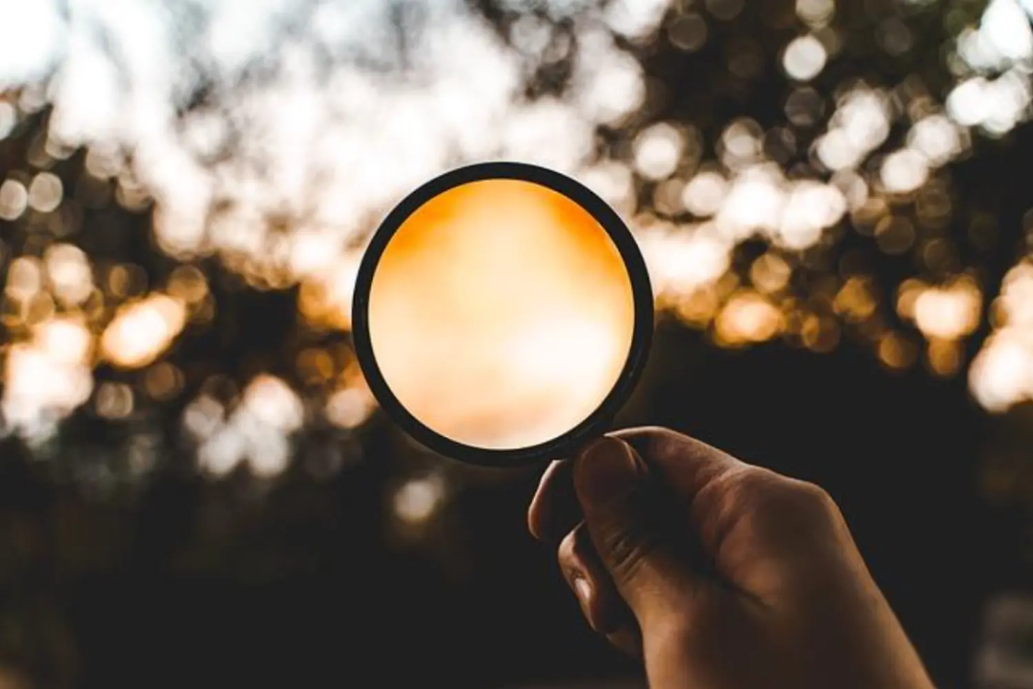 enHealing - Energetischen Praxis, persönlichen Entwicklung und Vitalstoffberatung - Eine Hand hält eine Lupe vor dem Hintergrund von verschwommenem, goldenem Sonnenlicht, das durch die Bäume fällt.