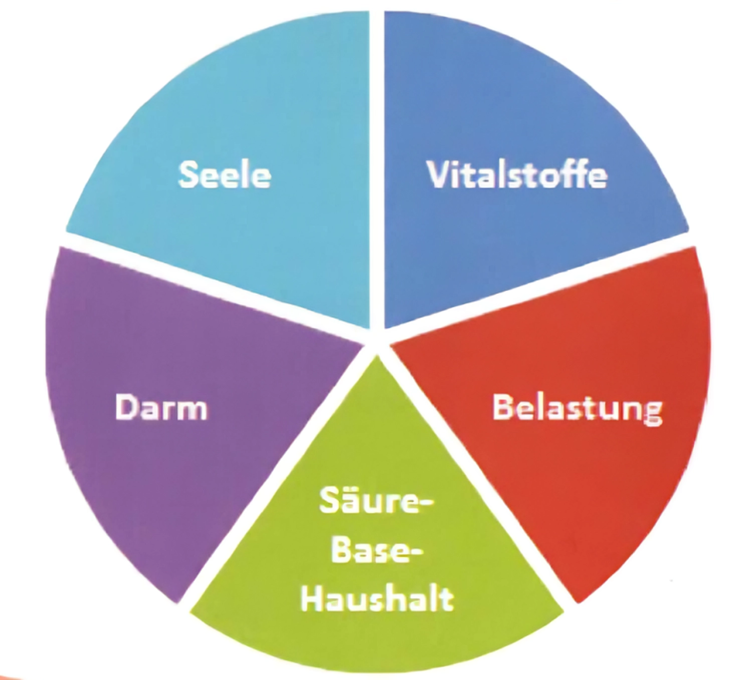 enHealing - Energetischen Praxis, persönlichen Entwicklung und Vitalstoffberatung - Ein kreisförmiges Diagramm, das in fünf gleiche, farbige Abschnitte unterteilt ist und auf Deutsch beschriftet ist: „Seele“, „Vitalstoffe“, „Belastung“, „Säure-Base-Haushalt“ und „Darm“.