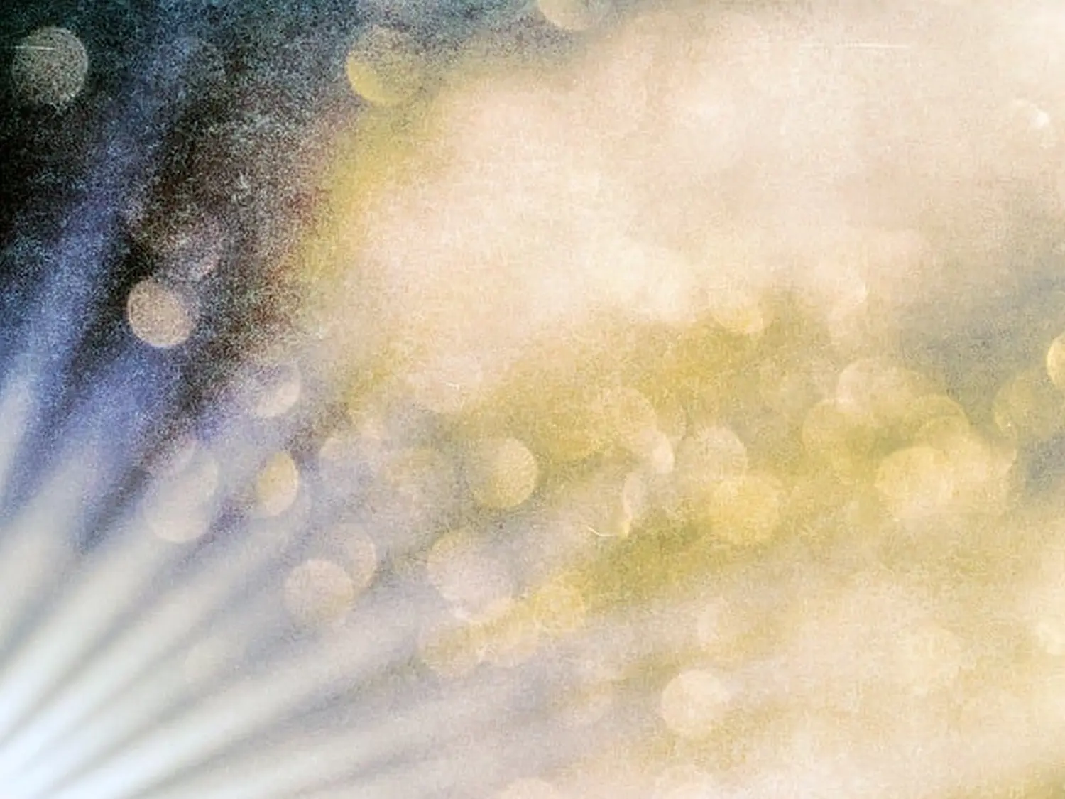 enHealing - Energetischen Praxis, persönlichen Entwicklung und Vitalstoffberatung - Energetische Reinigung