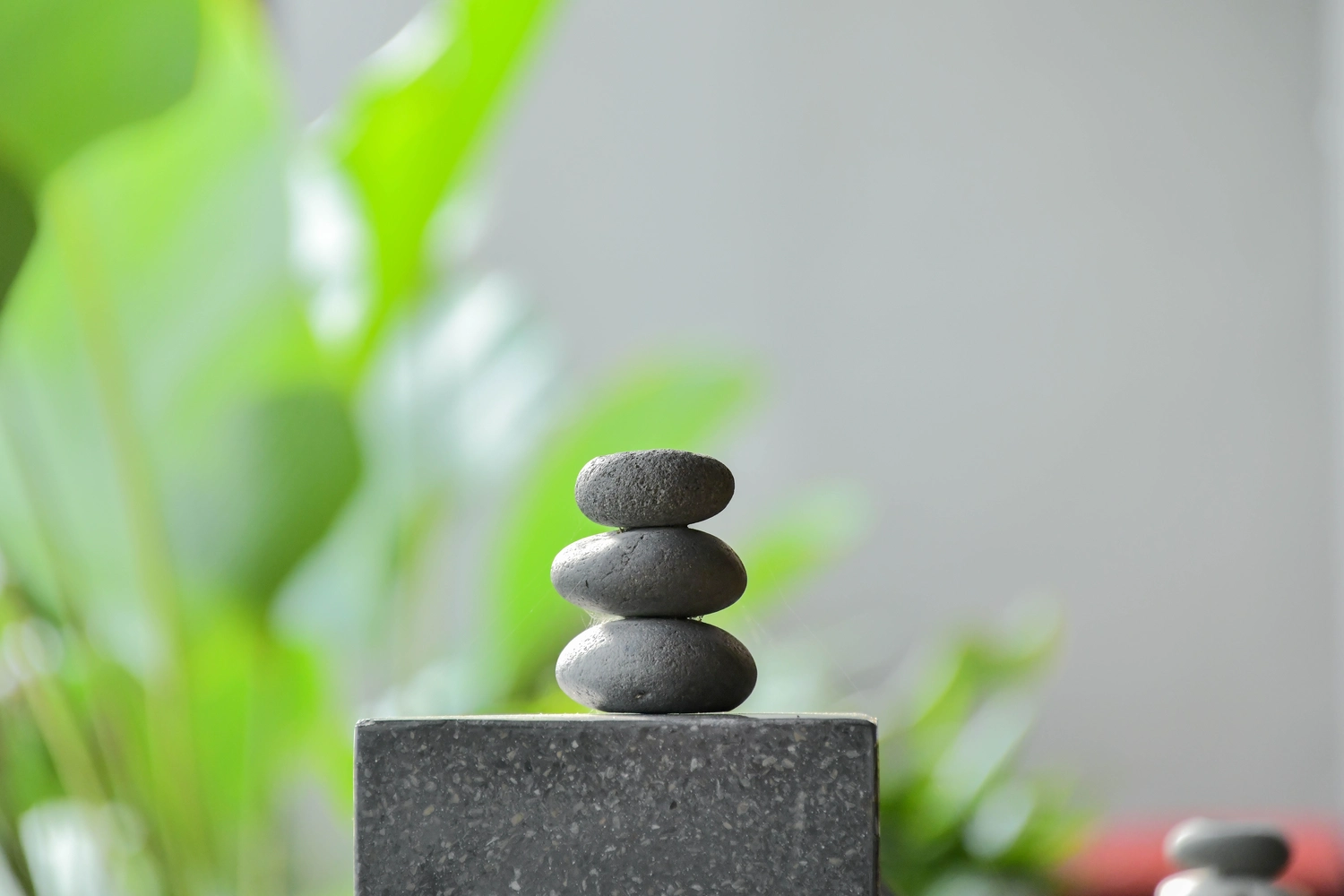 enHealing - Energetischen Praxis, persönlichen Entwicklung und Vitalstoffberatung - Spa-Konzept mit Zen-Basaltsteinen und Bambus