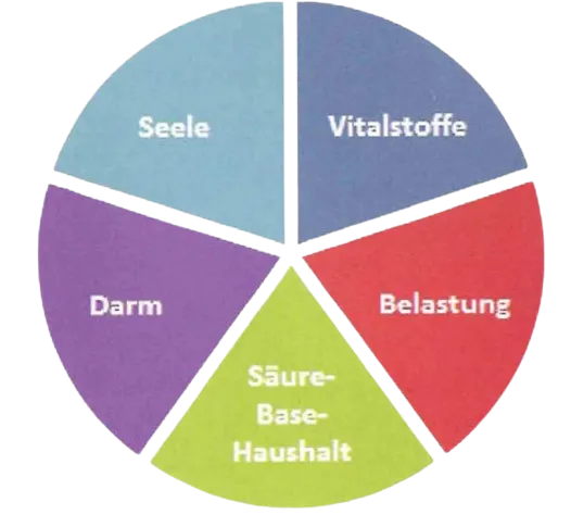 enHealing - Energetischen Praxis, persönlichen Entwicklung und Vitalstoffberatung - Ein kreisförmiges Diagramm, das in fünf gleiche, farbige Abschnitte unterteilt ist und auf Deutsch beschriftet ist: „Seele“, „Vitalstoffe“, „Belastung“, „Säure-Base-Haushalt“ und „Darm“.
